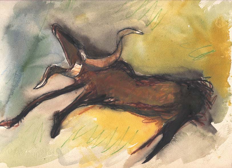 animal1.jpg