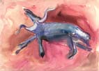 animal2.jpg